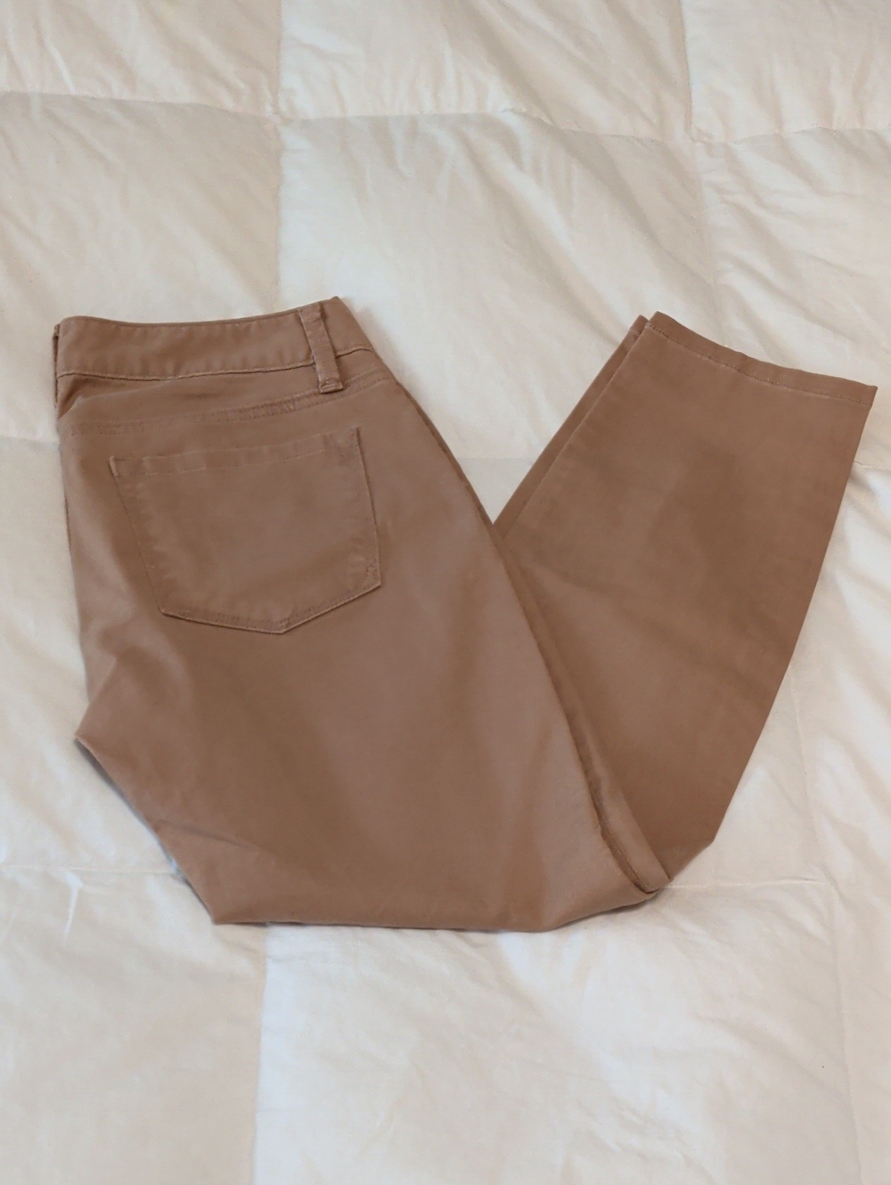 Ann Taylor Tan Chino Pants